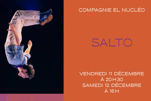 Salto | Compagnie El Nucléo